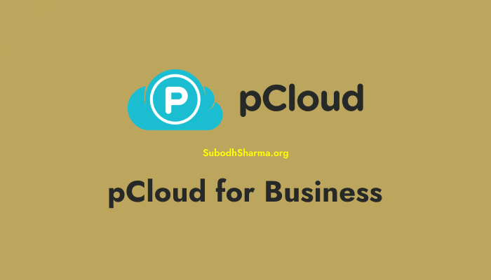Get pCloud for Business in 2023 – Most Secure Cloud Storage to Optimize Your Workflow